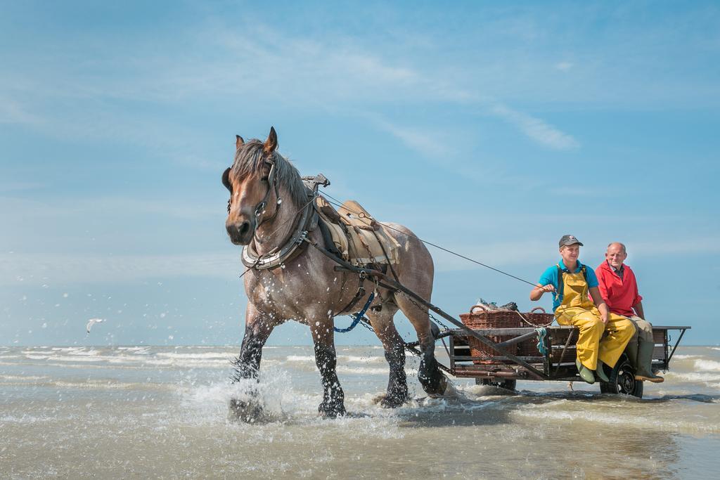 Jeugdherberg De Peerdevisser Oostduinkerke Exterior foto